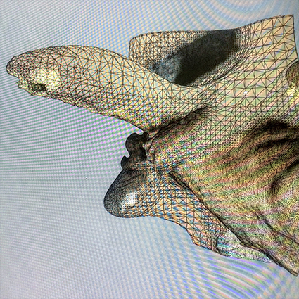 Interrupted 3D scan by artist Paul Coombs